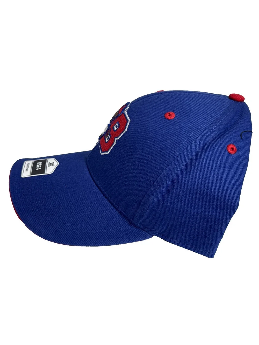 Buffalo Bisons MiLB Baseball Blue Snapback Hat Fan Favorite NEW